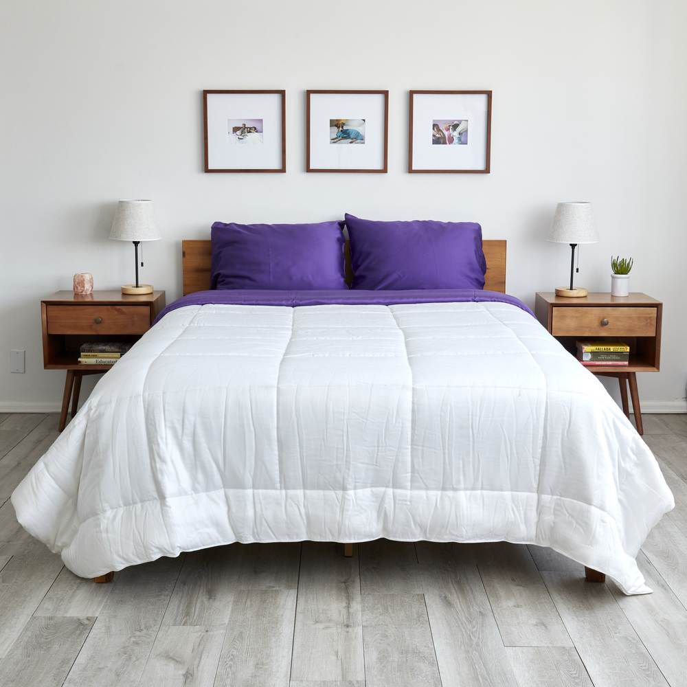 床单和笑声桉树惠