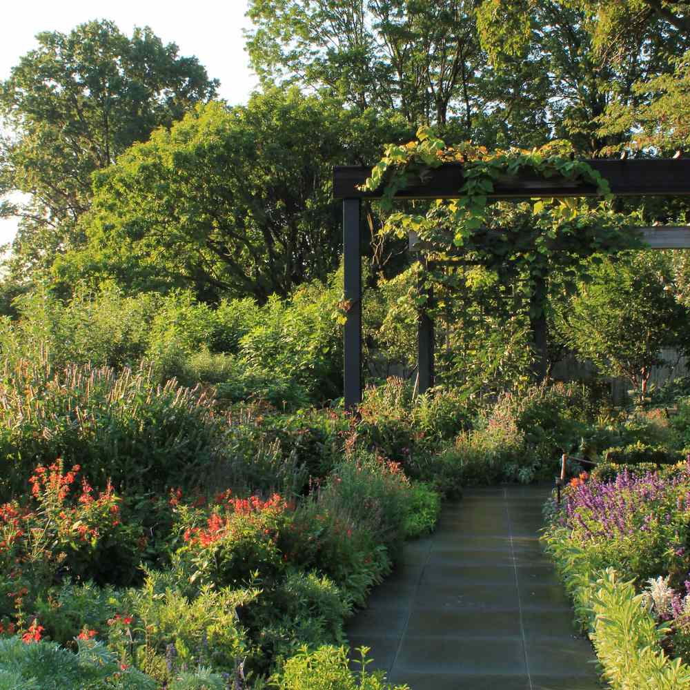 庞大的花园区有很多鲜花。