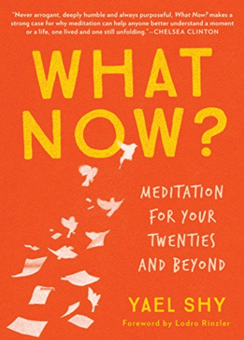 现在该做什么?:《20多岁及以后的沉思》(作者:Yael Shy)