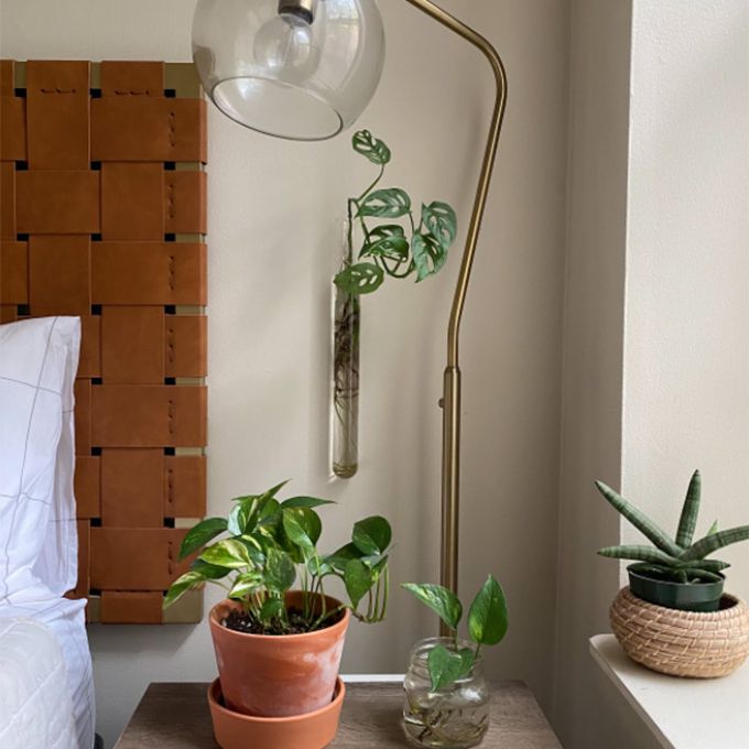 床头柜与地球灯，植物和水晶