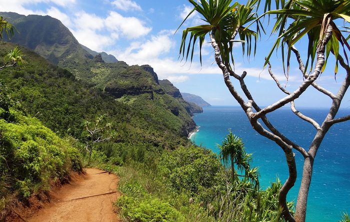 世界上最好的徒步旅行-卡拉劳步道