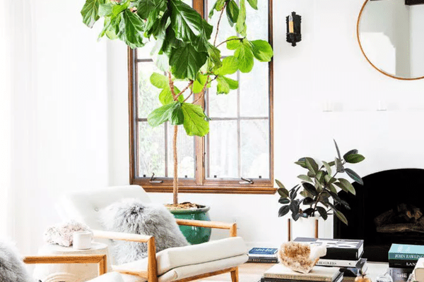 泰·;设计:凯瑟琳•卡特