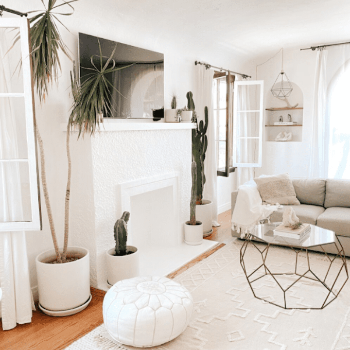 白色的客厅有很多中性的口音和植物。