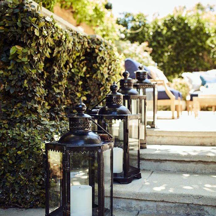 明迪甘蓝的后院