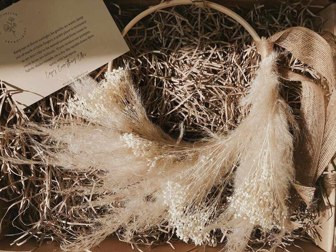 所有埃利斯干的潘帕斯草花环。