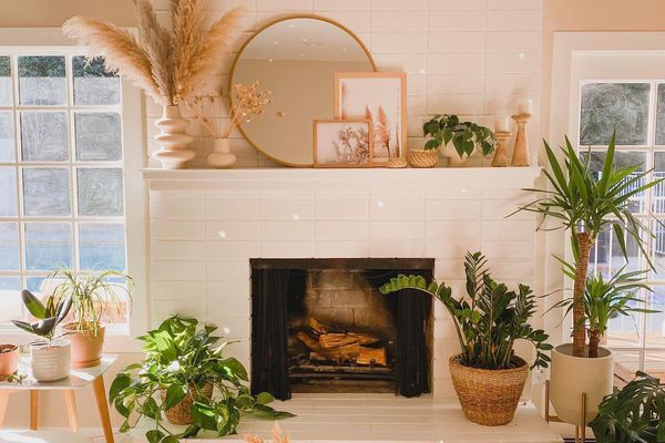 客厅带有中性色调和植物。