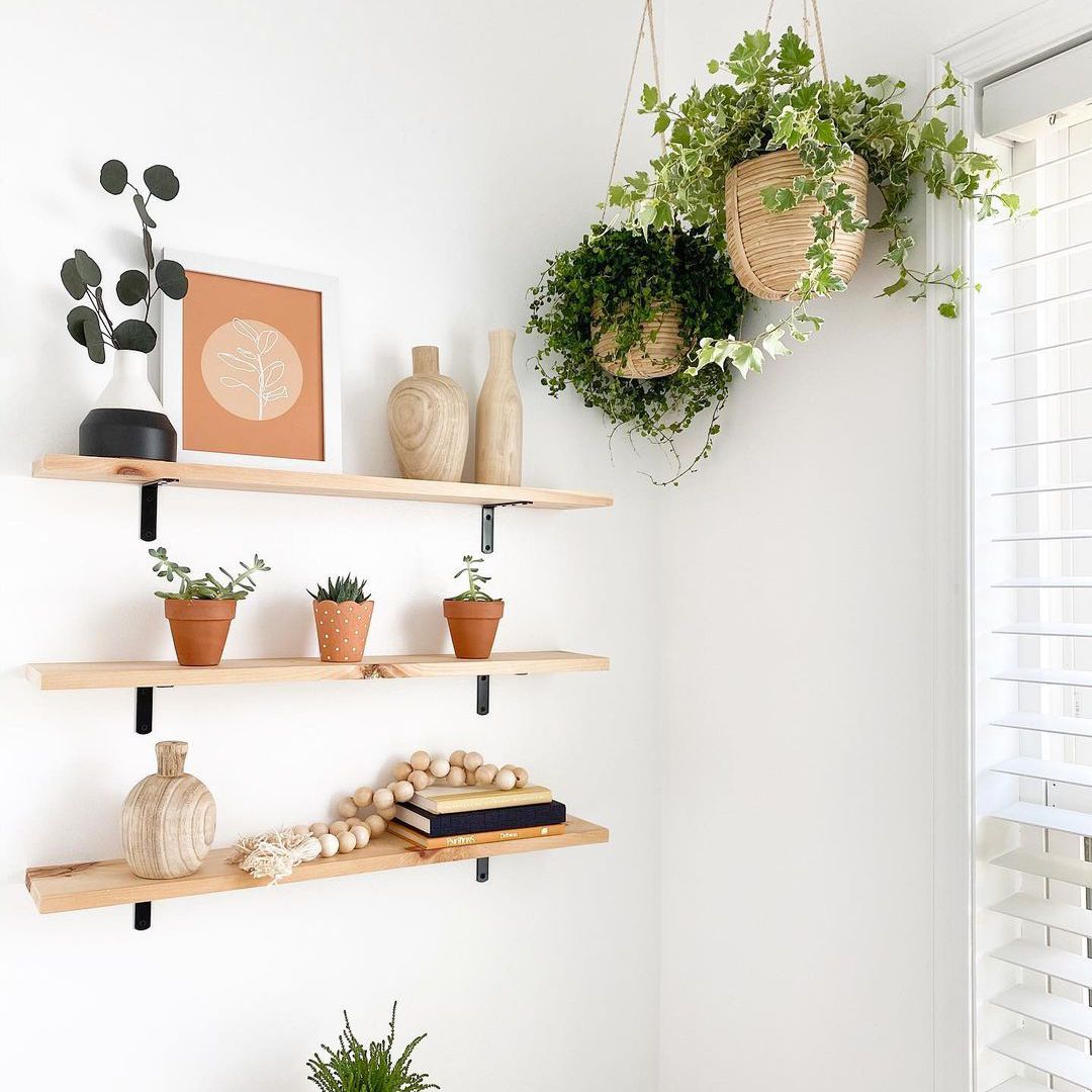 常春藤挂在篮子里