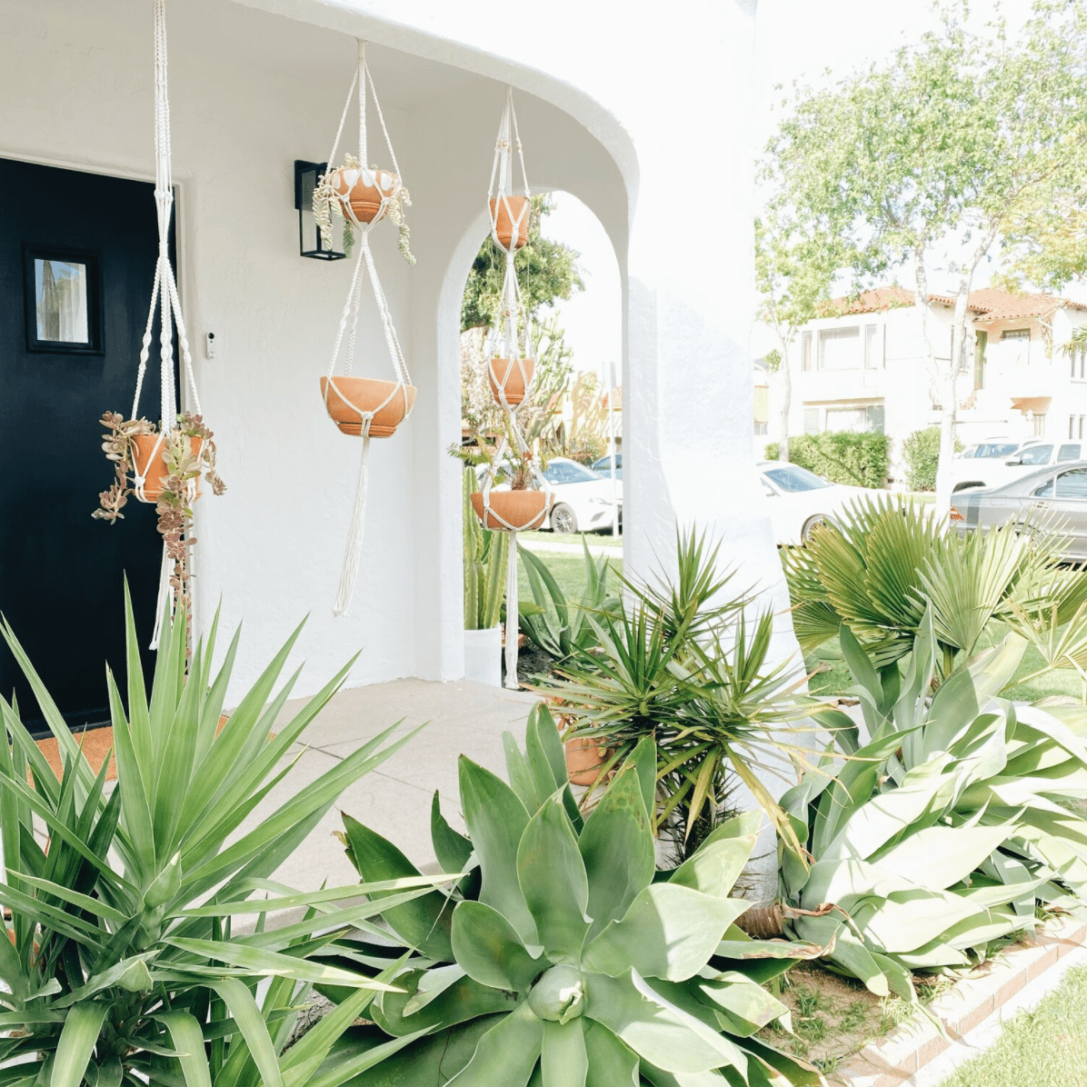 沙漠启发了外部与大型绿叶植物。