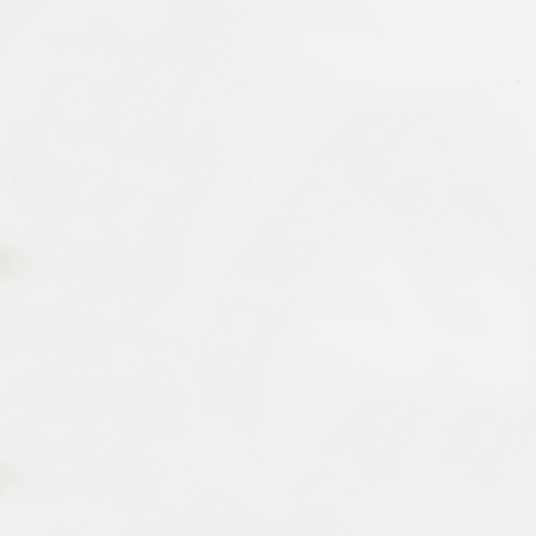 马苏里拉奶酪和桃子烤奶酪成分