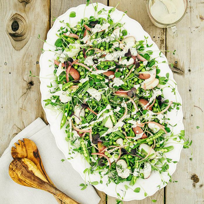 春豌豆沙拉配奶油莳萝酱