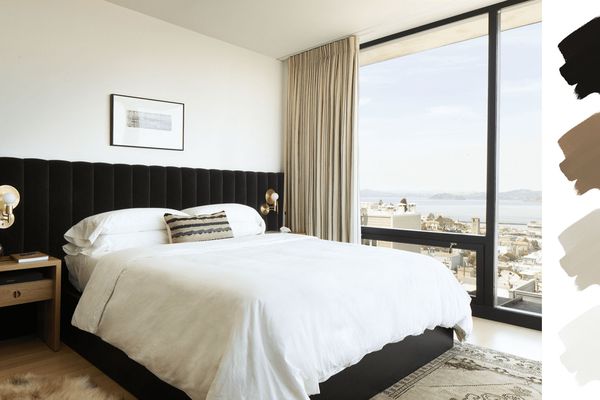 最好的家庭配色方案-黑色，棕色，棕褐色和白色