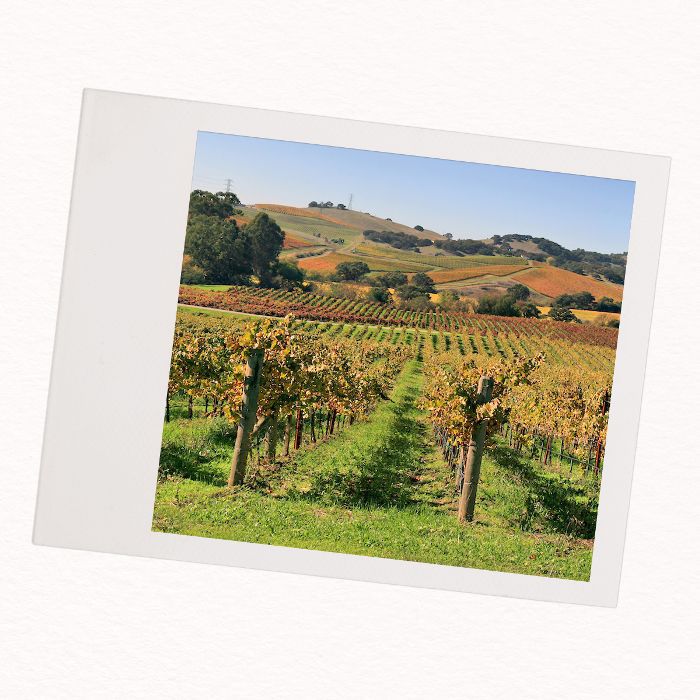 美国的情侣度假胜地