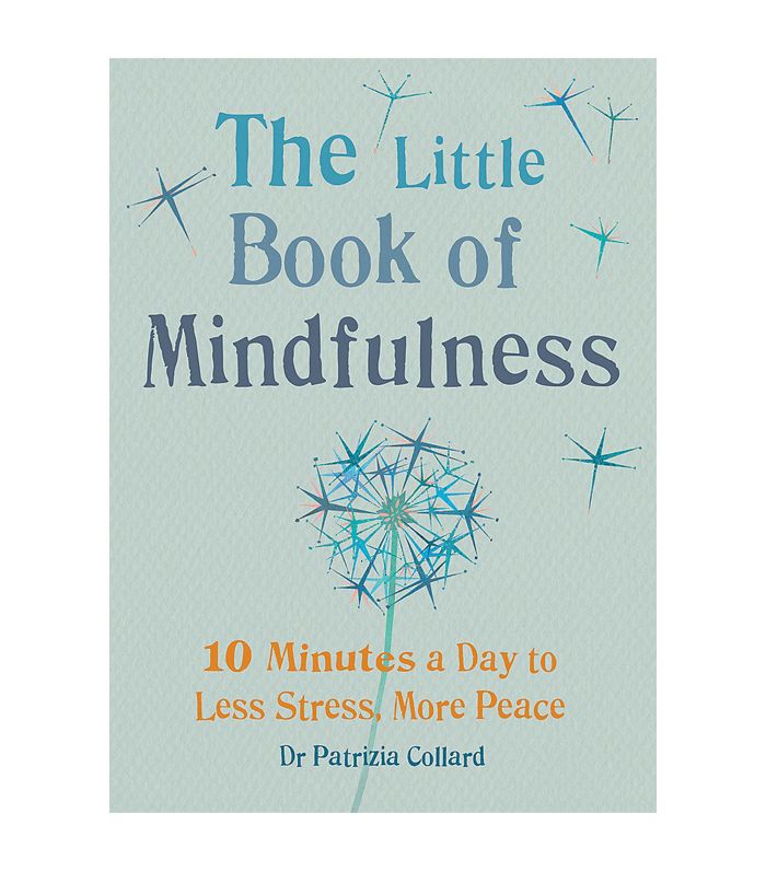 帕特里齐亚·克拉德博士的《正念小书》