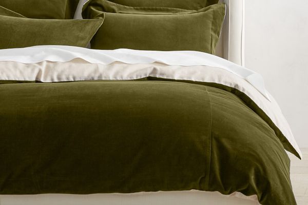 经典的天鹅绒羽绒被封面和假