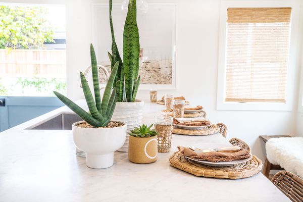 吃饭的厨房里装满了植物。