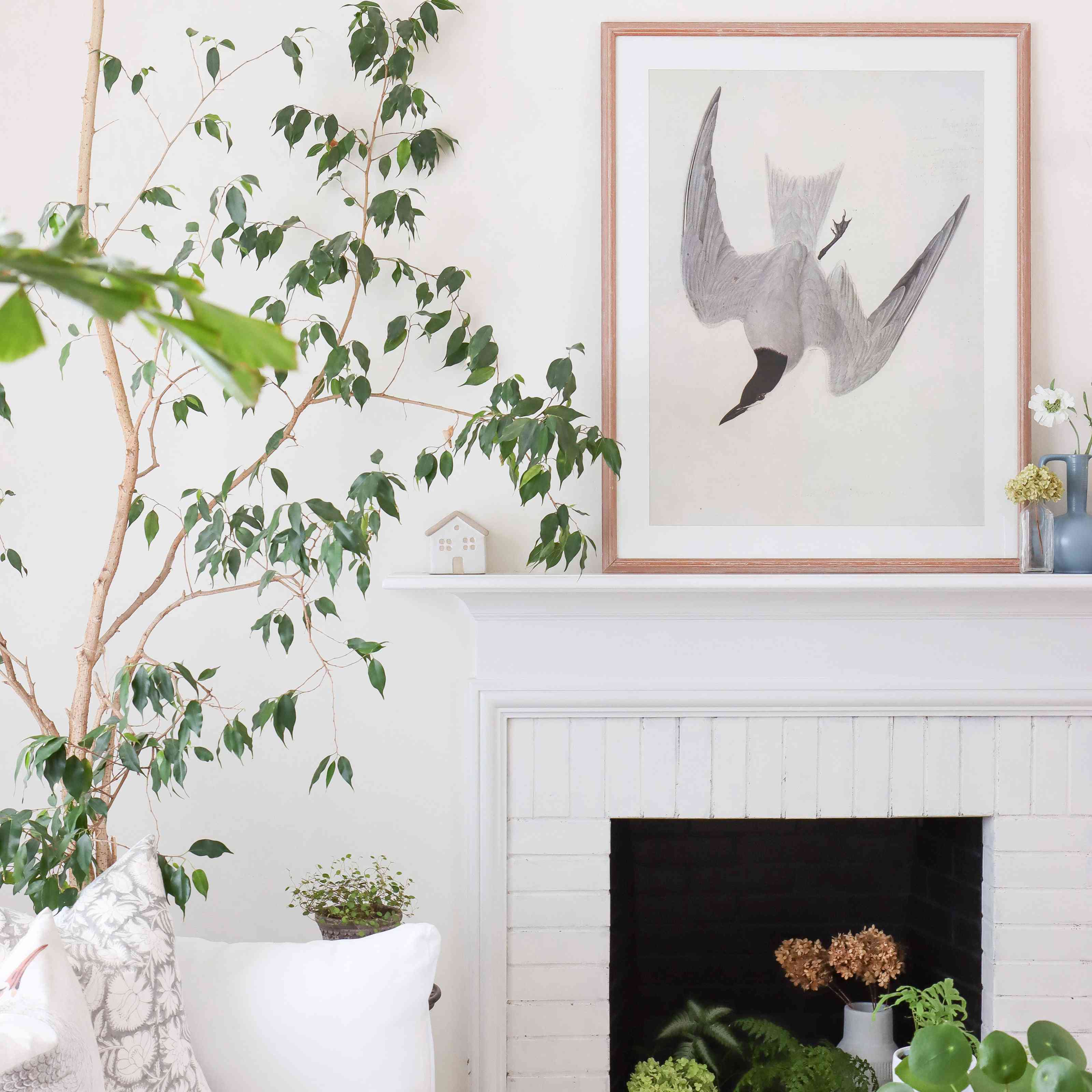 火上面鸟的大艺术片[蕾丝壁炉架。