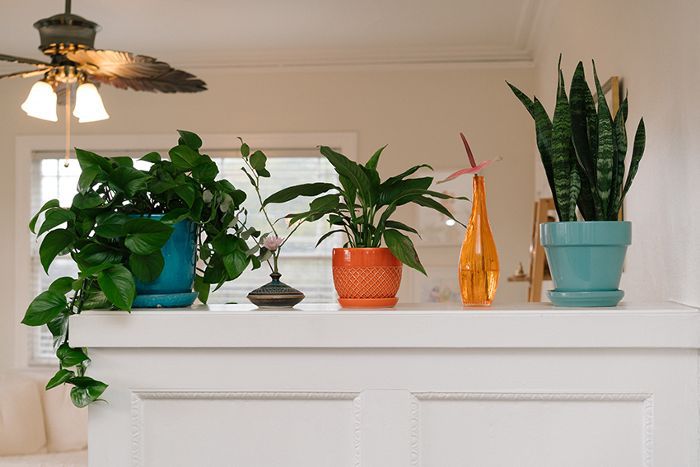 在Zarna Surti的家工厂