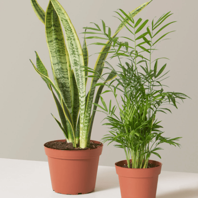 门槛垂直空间束