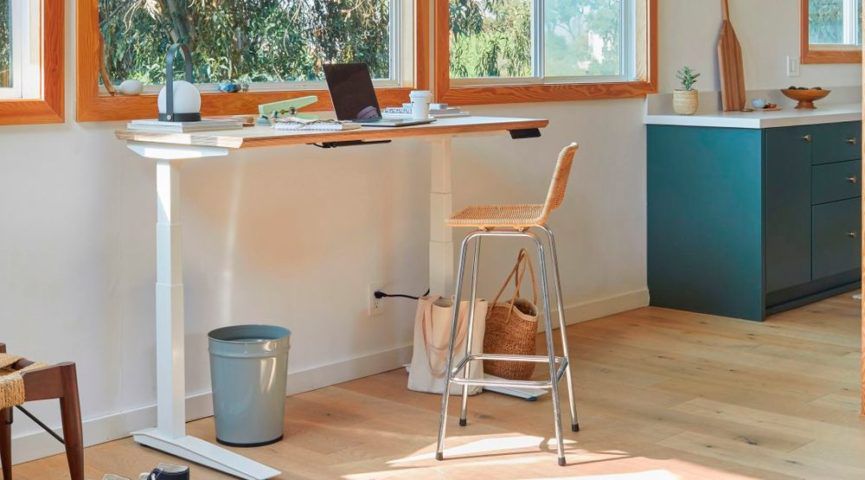 弗洛伊德站在桌子上