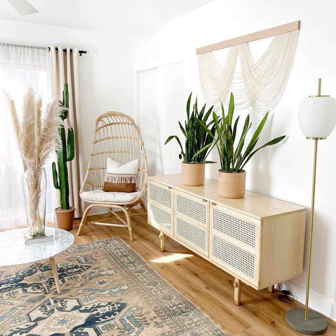 媒体控制台上的两个大型蛇植物。