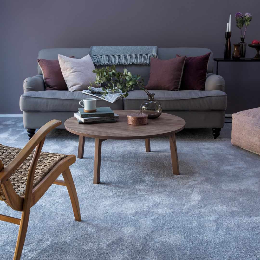 客厅地毯想法梅花