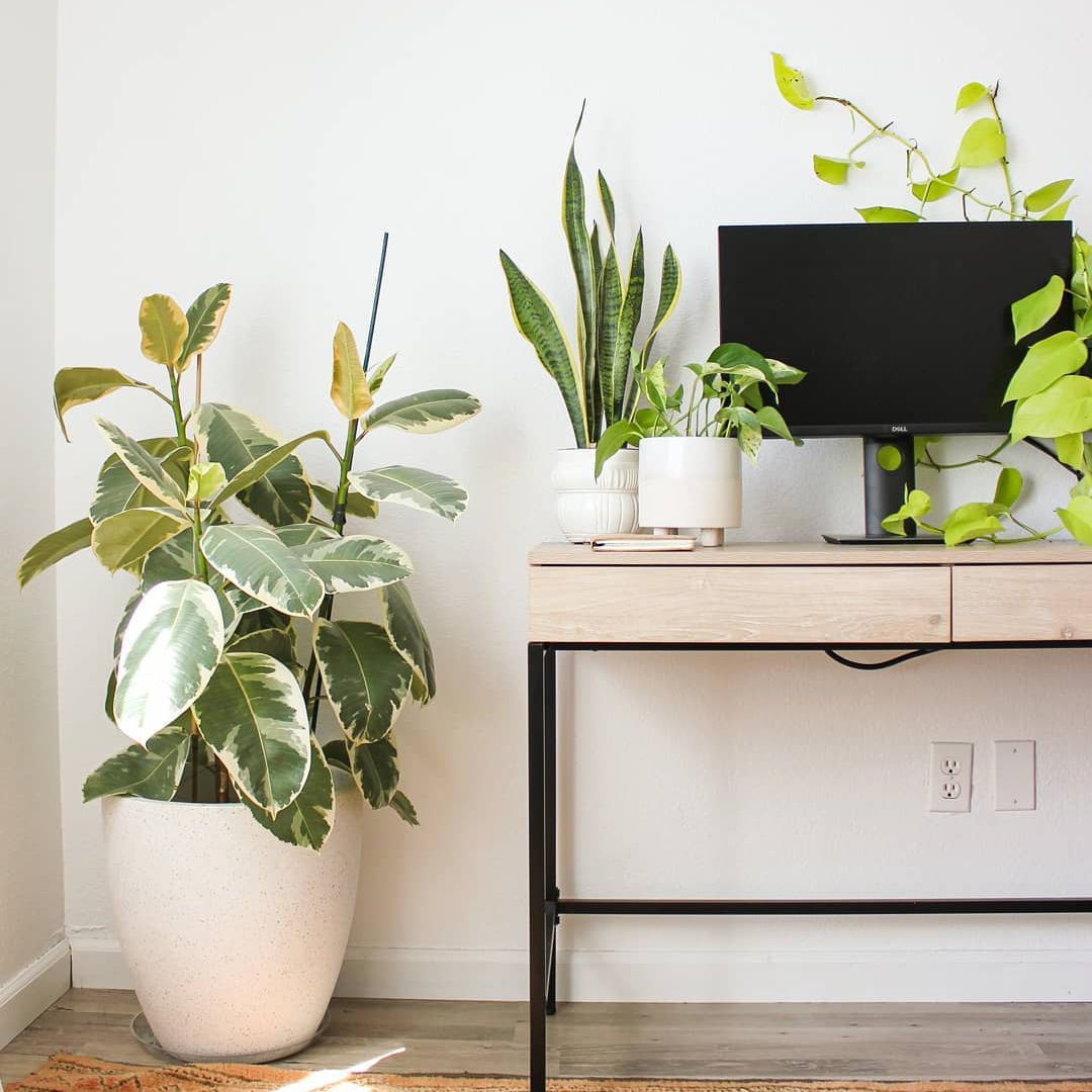 霓虹灯在角落里