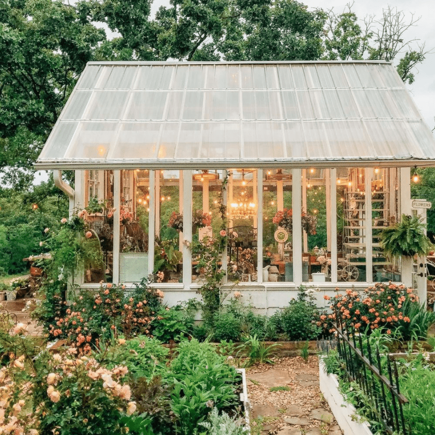 外面有玫瑰花丛的漂亮的温室。