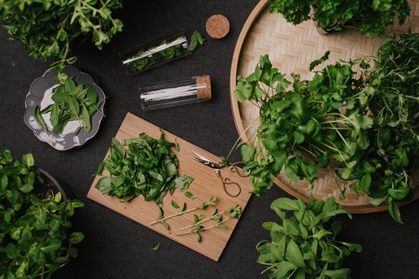 桌上放着新鲜的香草