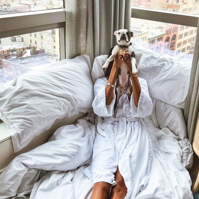 为旅行与狗忠告