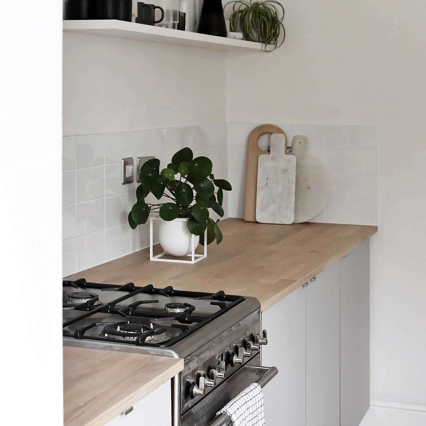 厨房里有木制台面和小植物。