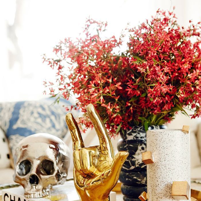 尼娜多布雷夫湖人主场之旅|客厅装饰