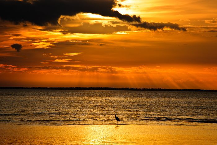 美国最佳公路旅行