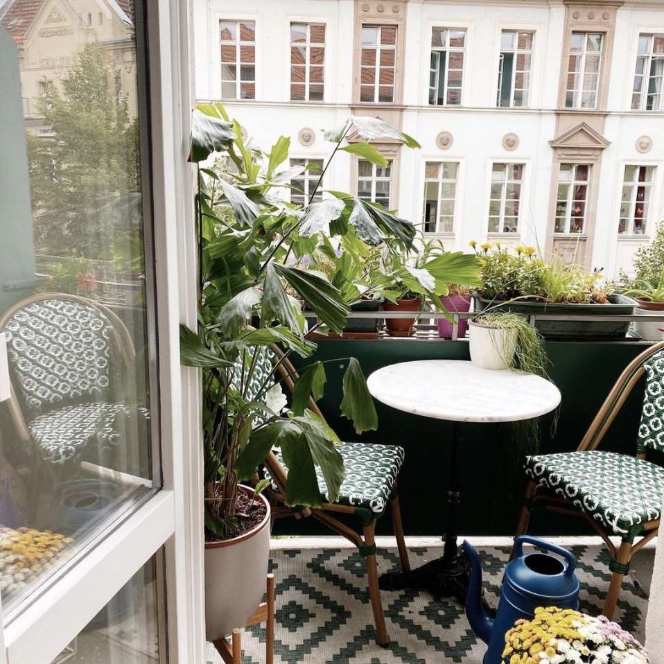 阳台上有绿色图案的椅子，绿色的地毯，很多植物