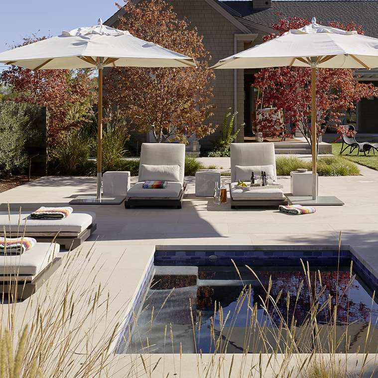 本世纪中叶景观