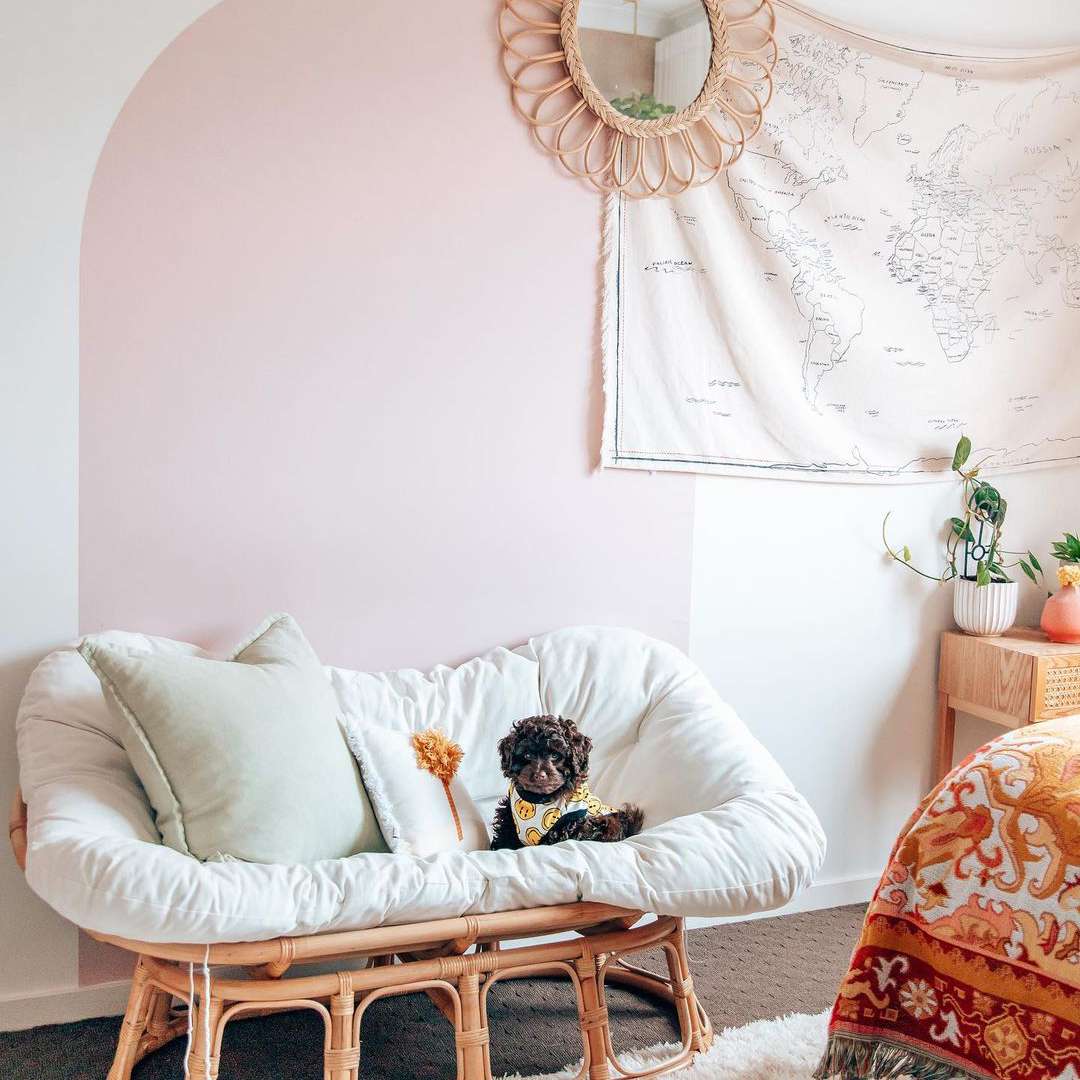 在波霍尔休息室椅子的小可爱的狗。