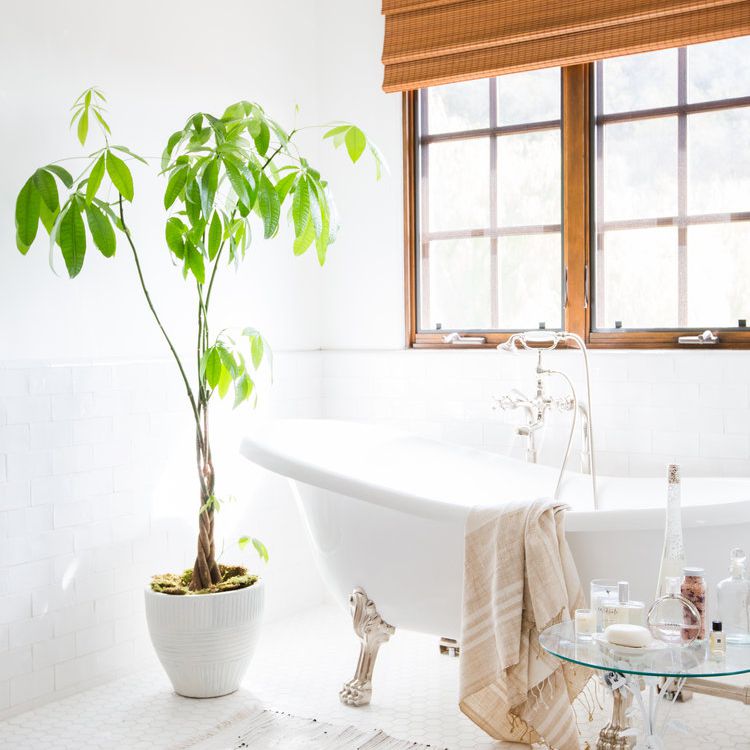 如何让浴室闻起来香