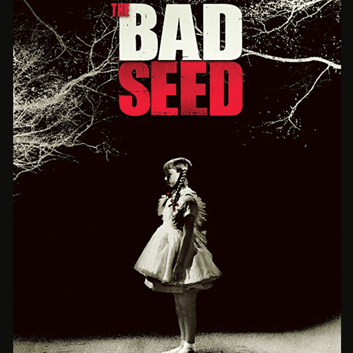 坏的种子