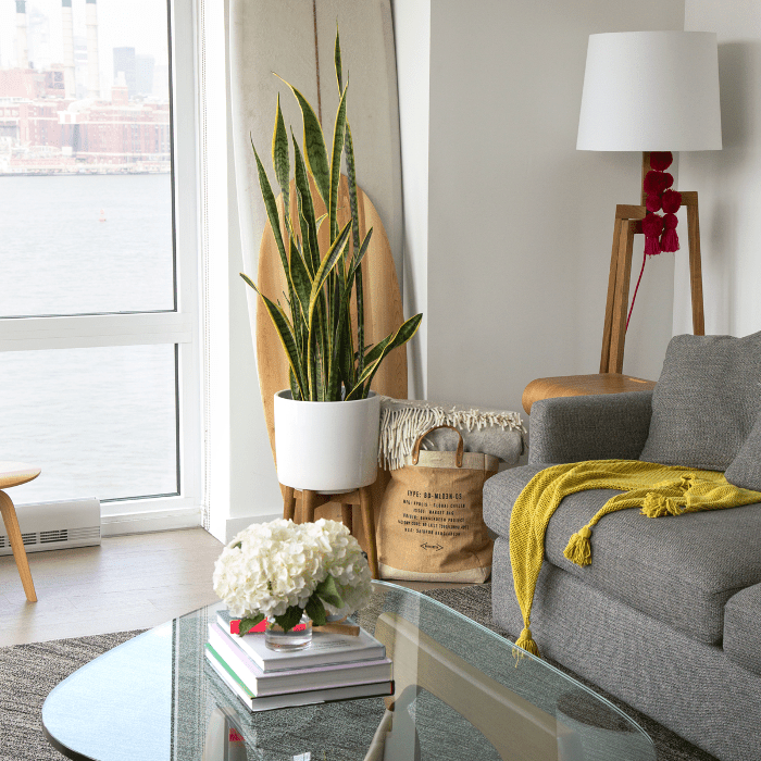 威廉斯堡公寓旅游客厅