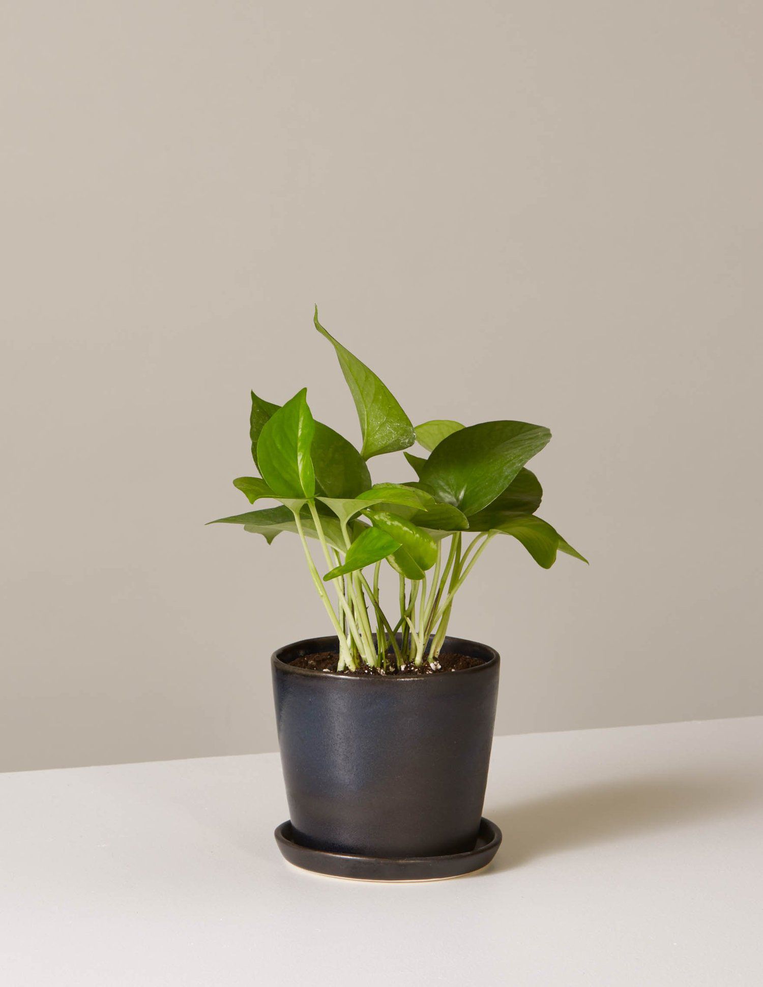 开放式货架厨房理念