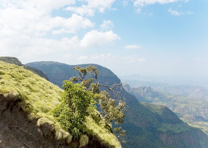 新的一年的环游世界 - 埃塞俄比亚