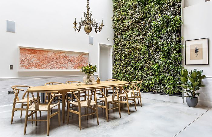 壁纸?这些新口音墙的想法会改变你的想法