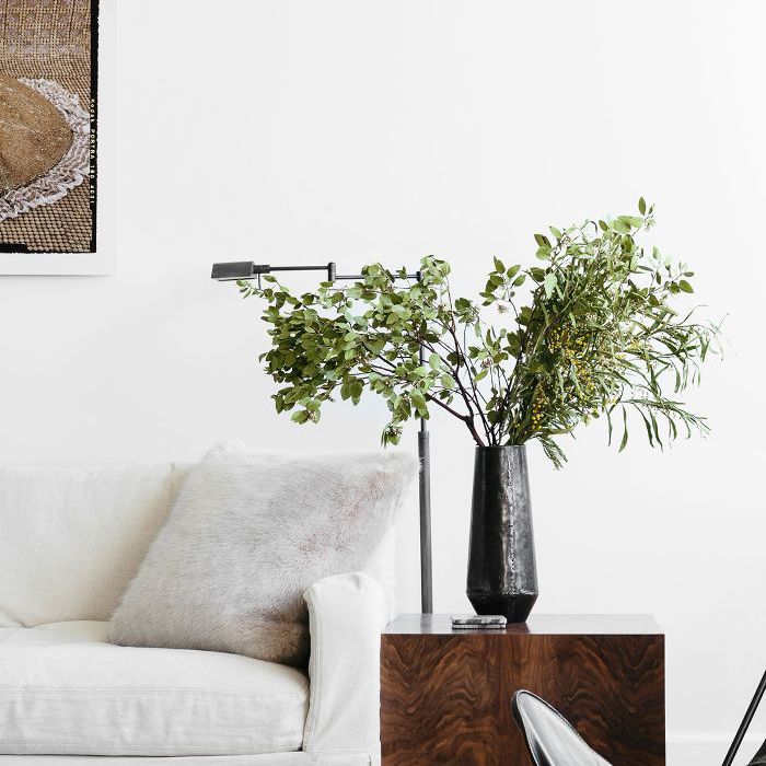 黑与白的主页视频，沙发