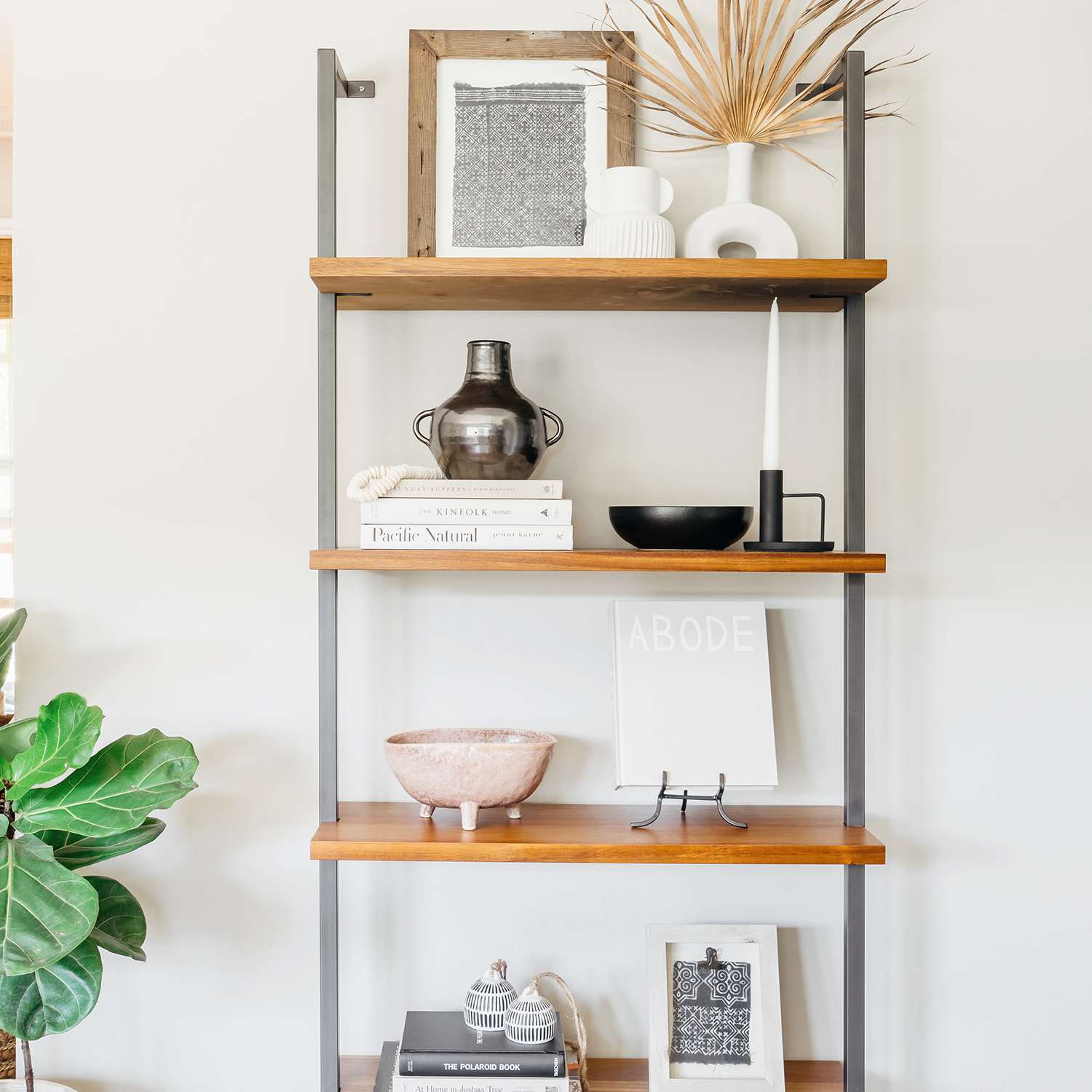 阿丽莎·阿格拉拉斯家之旅-客厅的书架