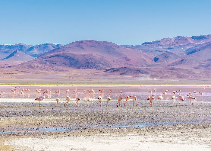 科罗拉达湖，在玻利维亚的安第斯高原。“class=