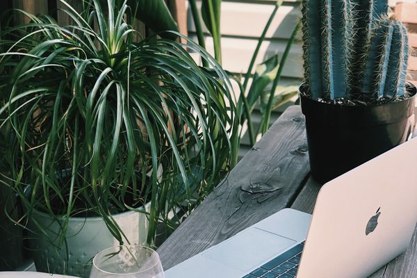 从家庭设置工作