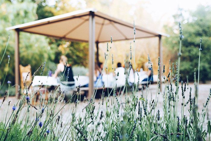 无声的健康撤退欧洲杯亚博投注赔率