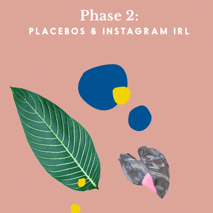 植物叶片和丰富多彩的斑点的图形所示“class=