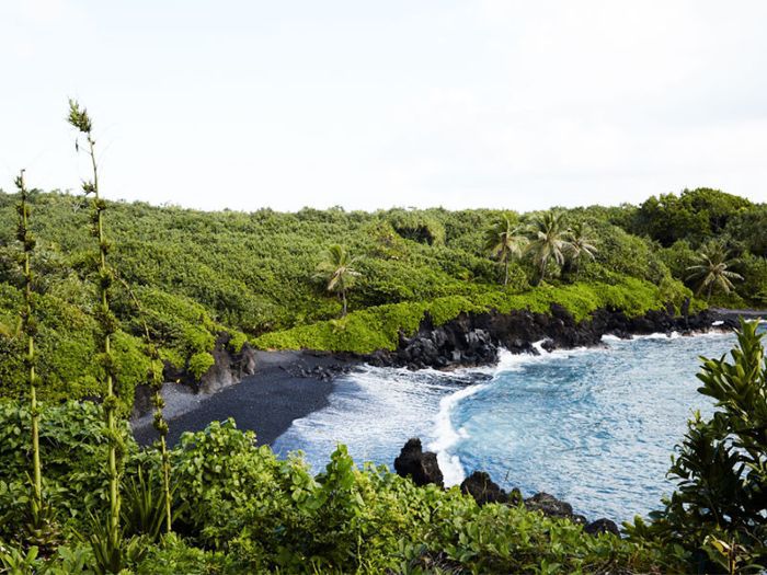 黑色在夏威夷沙滩
