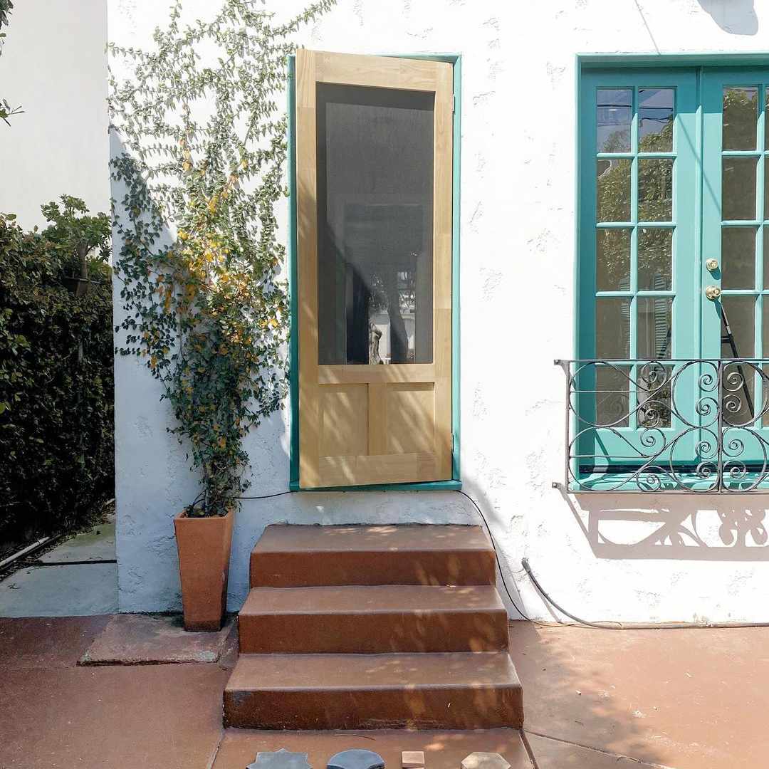 攀岩植物在播种机