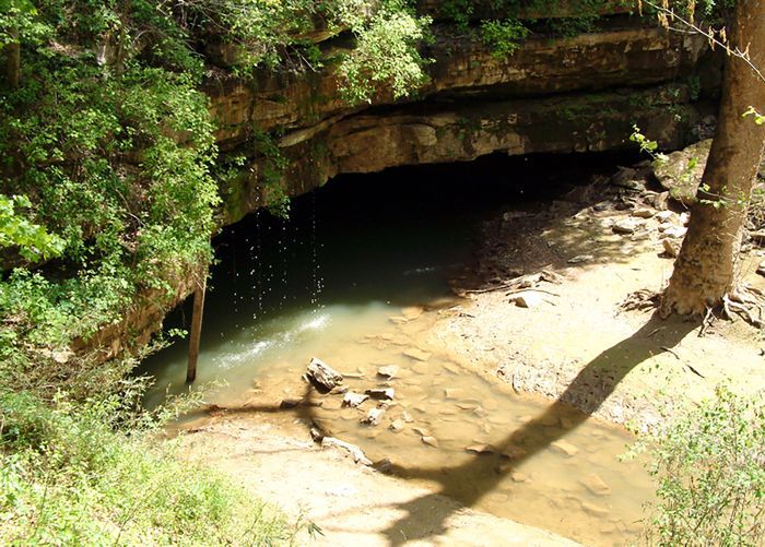 最大的洞穴群世界 - 猛犸洞